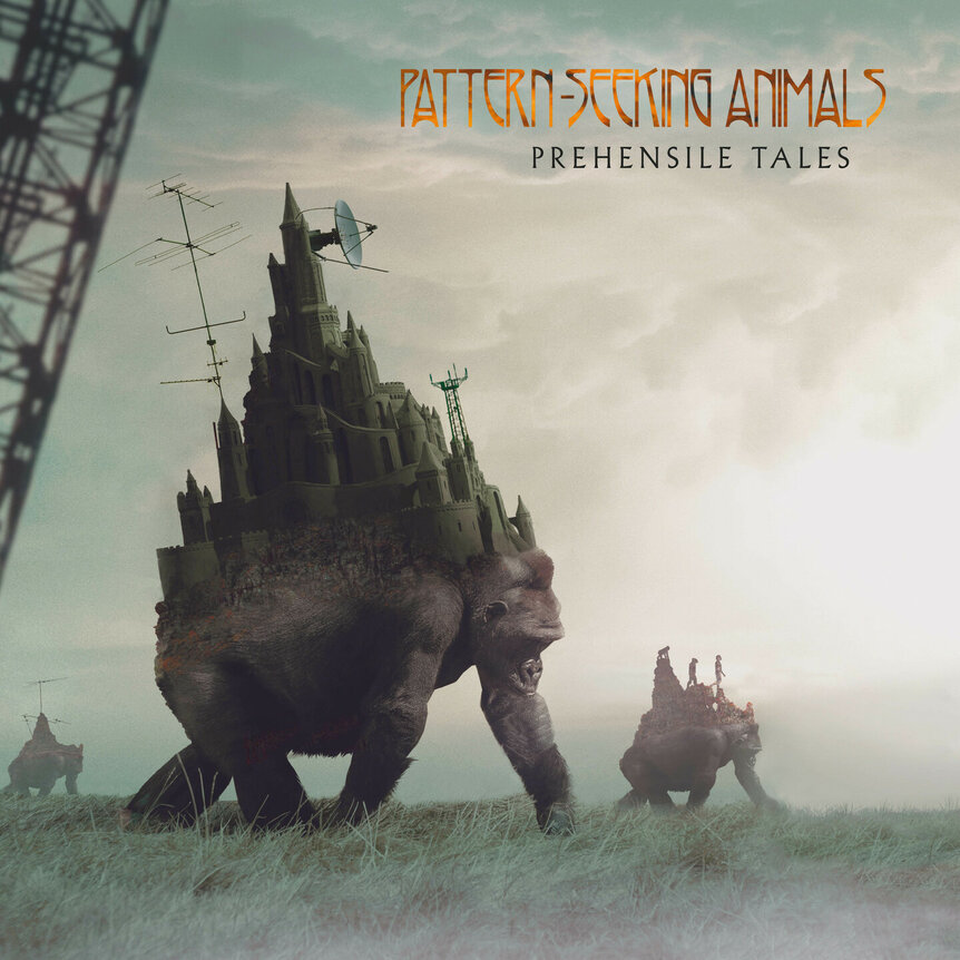 Pattern-Seeking Animals
