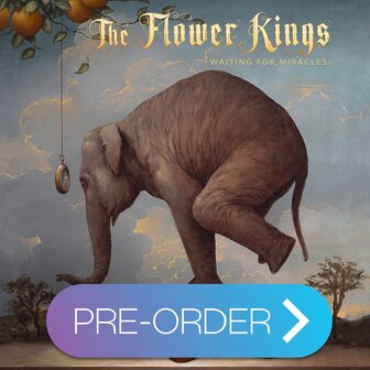 Flower Kings, The-Waiting For Miracles
